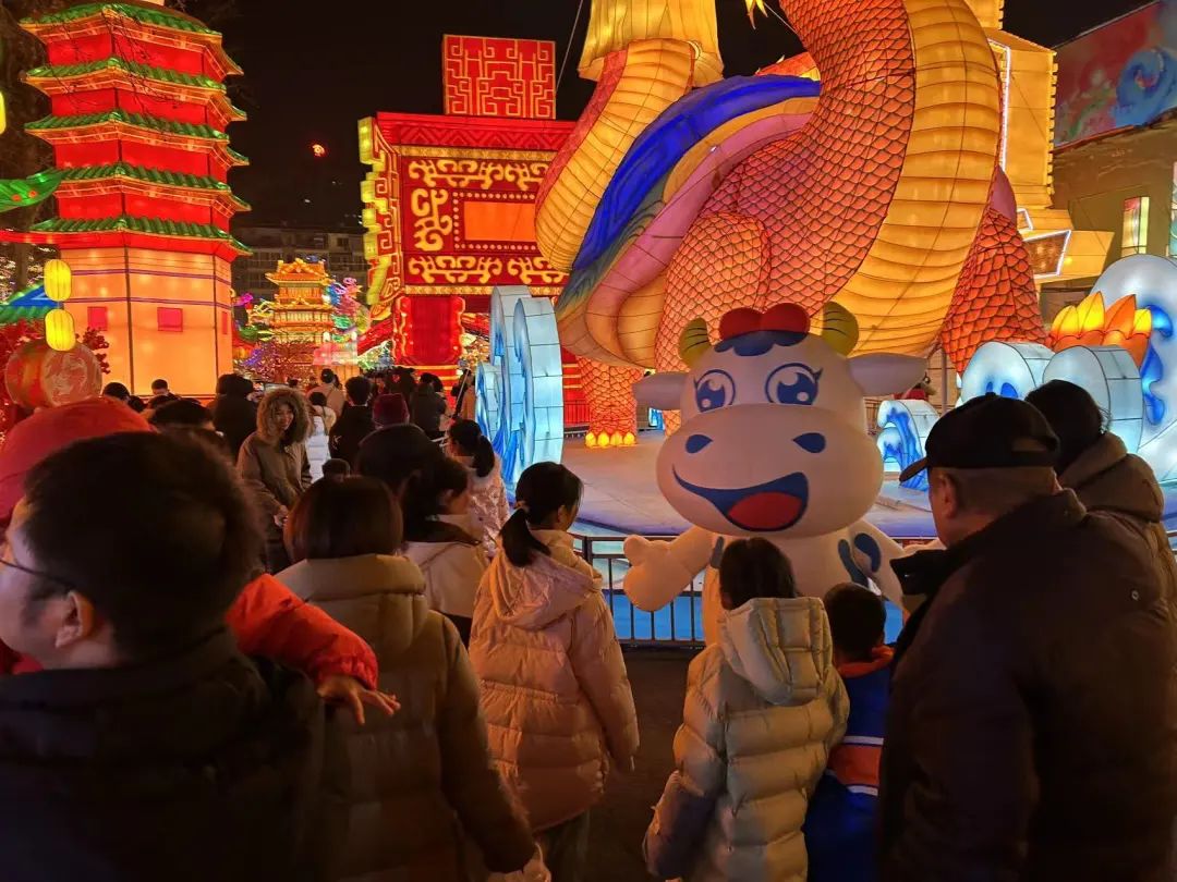 央視直播鄭州龍年燈會(huì)迎新春，花花牛品牌上大分