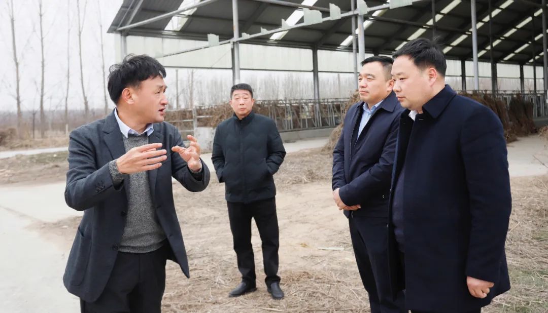 發(fā)揮產(chǎn)業(yè)優(yōu)勢 助力鄉(xiāng)村振興 | 民權(quán)縣委副書記、縣長王靜嫻會見關(guān)曉彥董事長一行