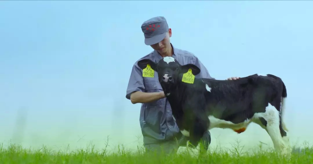 河南省人大常委會(huì)黨組書(shū)記、副主任孔昌生蒞臨花花牛魯山瑞亞牧場(chǎng)參觀調(diào)研