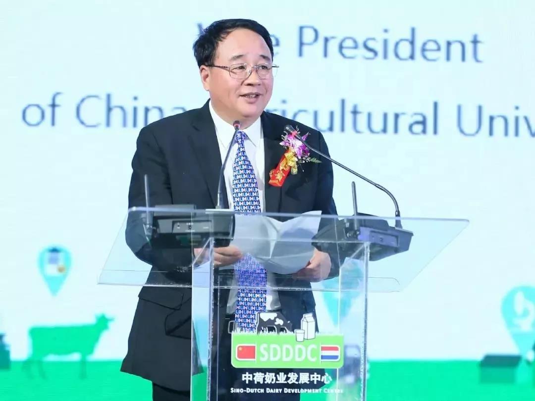 SDDDC走進(jìn)河南，看看花花牛的國際范兒！