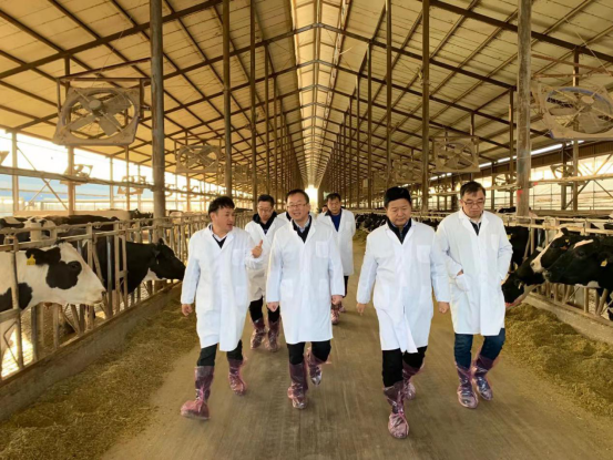 寧夏回族自治區(qū)農(nóng)業(yè)農(nóng)村廳黨組書記、廳長王剛一行蒞臨花花牛乳業(yè)集團(tuán)調(diào)研