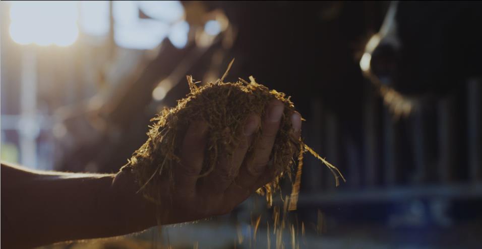 又雙叒叕獲獎啦！花花牛榮獲“乳品質(zhì)量安全管理 優(yōu)秀企業(yè)”