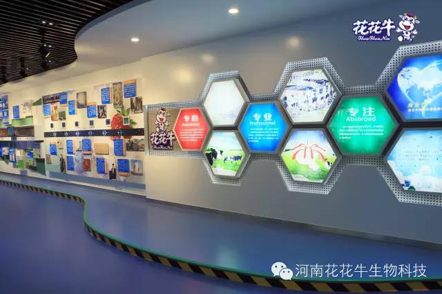 花花牛：務(wù)實、創(chuàng)新領(lǐng)潮市場 大企業(yè)體現(xiàn)大擔(dān)當(dāng)