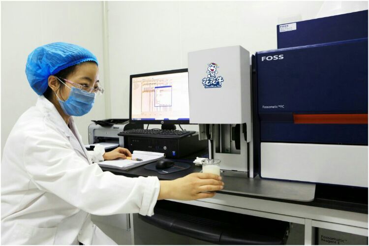 花花牛：務(wù)實、創(chuàng)新領(lǐng)潮市場 大企業(yè)體現(xiàn)大擔(dān)當(dāng)